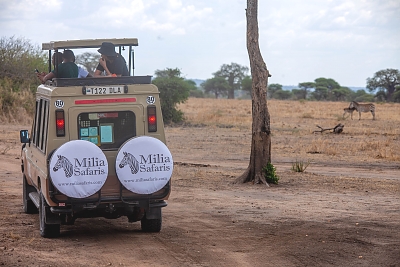 Tarangire_National_Park_Game_Drive_(3)